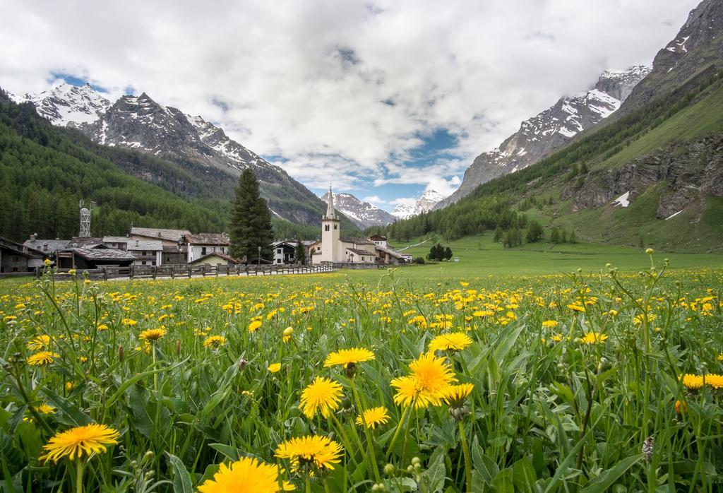 Case Gran Paradiso Rhemes Notre Dame Экстерьер фото
